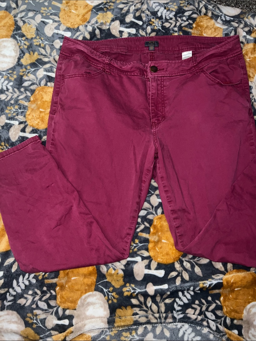 41 Hawthorn Women's Skinny Jeans in Plum Wine